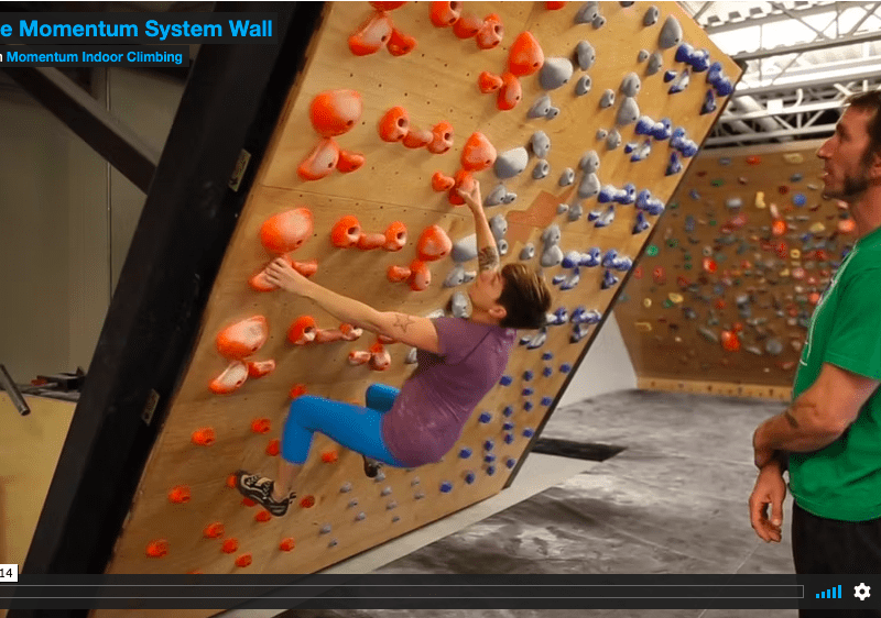 The momentum systems wall